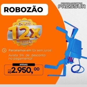 Robozão